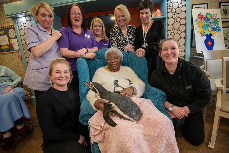 Friendly penguin duo slides into Banbury care home for a flapping good time